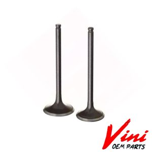 VALVULA ADM/ESC YAM FZ16 - VINI