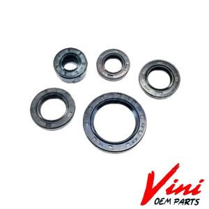 RETEN MOTOR GIL SMASH KIT 5PSC - VINI