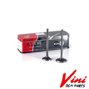VALVULA ADM/ESC HONDA CG TITAN 150 - VINI