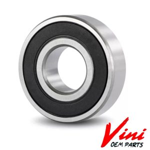 RULEMAN 6300 - 2RS (X10) - VINI